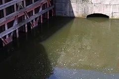 «Минирование» Химкинской плотины оказалось учениями спецслужб