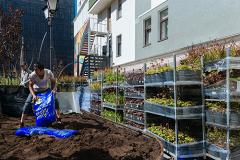 «Отдам сад в добрые руки». В Екатеринбурге ищут площадки под авторские ландшафтные работы