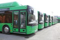 На покупку новых автобусов Екатеринбург потратит больше ста миллионов рублей