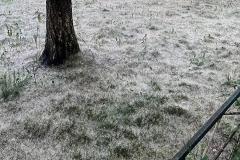 В Екатеринбурге дети массово поджигают тополиный пух