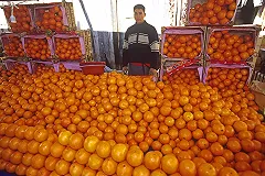 Свердловчанам рассказали о «странах-заменителях» турецкой продукции