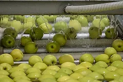 Турецкие продукты перестали поступать в Свердловскую область с конца ноября