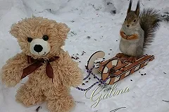 Подозреваемая в похищении белок рассказала, что делает с грызунами