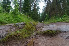 Прокуратура заставила главу Карелии решать проблему детсада в поселке Суоеки