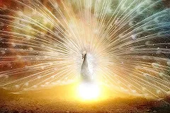 Екатеринбургский музей ИЗО открывает «Школу начинающего востоковеда»