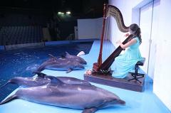 В Екатеринбурге прошел концерт для дельфинов и китов