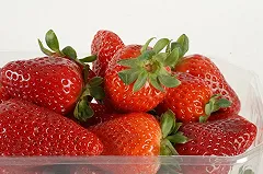 Флавоноид физетин замедляет старение на клеточном уровне