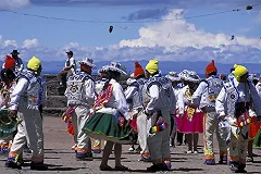 Четырех перуанцев арестовали за кражу сумки у корейца в Пулково
