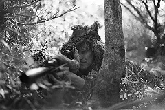 В НАТО назвали Украину одним из самых ценных партнеров