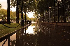 Для реконструкции перекрестка Московская — Ленина вырубили 16 кленов