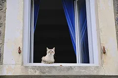 СМИ: История с чудесным спасением выпавшей из окна девочкой оказалось выдуманной