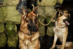 Российских военных лишат смартфонов