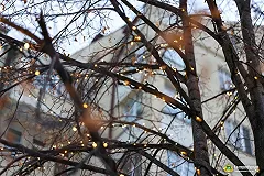 Жители Екатеринбурга назвали самые значимые события уходящего 2021 года