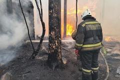 Большая часть лесных пожаров в Свердловской области началась из-за поджогов