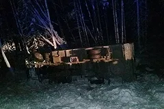 В Иркутской области два верблюда попали в ДТП, один из них погиб