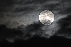 В Верхней Пышме стартовал суд над ритуальным маньяком