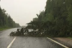 Число пострадавших от урагана в Москве выросло до 168