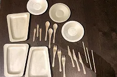 В Свердловской области построят завод по производству экологически чистой одноразовой посуды