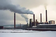 В Свердловской области на работу будут брать мигрантов из Индии и Пакистана