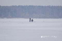 Бессмертные рыбаки вышли на лед в Екатеринбурге