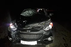 На Серовском тракте насмерть сбили пешехода (ФОТО)