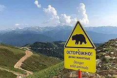 «Иностранцы дисциплинированнее». Президент РСТ призвал туристов в Сочи носить маски