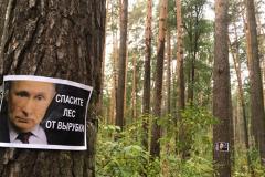 Свердловчане разместили фото Путина в лесу, чтобы спасти его от вырубки
