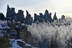 Под Серовом нашли тело местного жителя, который ушел в лес встречать инопланетян