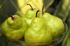 Россия запретила ввоз продуктов с поддельными сертификатами из Белоруссии