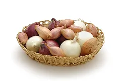 Россельхознадзор Свердловской области забраковал 20 тонн лука из Нидерландов, зараженного клещами