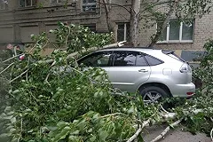 Юрист рассказал, что делать, если на машину упало дерево
