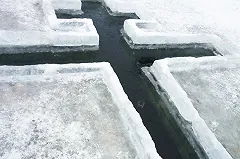 Рождает глупость и жестокость: екатеринбургский священник раскритиковал крещенские купания