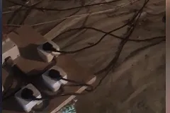 В Сысерти накрыли подпольную майнинговую ферму