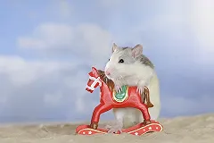 «Даром не отдам». Екатеринбурженка поделилась советами, как продать все ненужное