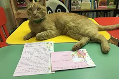 В Тверской области убит кот-библиотекарь