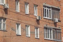 Полиция фиксирует всплеск бытовых преступлений в Екатеринбурге