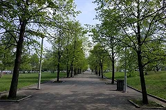 Сквер Соловьева появится в «городе бесов» Екатеринбурге