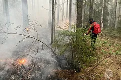 Екатеринбуржцы заметили дым над Уктусом сразу в четырех местах
