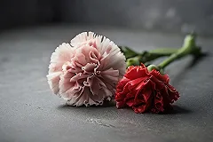 Скорбившим по Навальному* петербуржцам на выходе из спецприемника вручили повестки