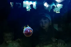 Посетители довели приморский океанариум до антивандальных мер