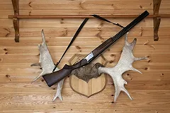 На Украине доедают последних лосей