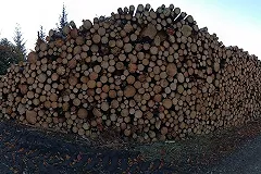 Немцев готовят к отключениям электроэнергии предстоящей зимой