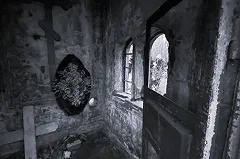 Почему на свердловском кладбище под гробом оказались три спрятанных трупа