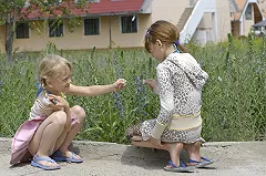 Психиатр: К поступлению в школу у ребенка уже должна быть выработана эмпатия