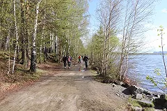 «Майскую прогулку» вновь перенесли