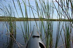 Охотничий туризм начали развивать в Свердловской области