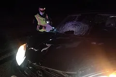 На трассе «Екатеринбург — Курган» женщина насмерть сбила грибника