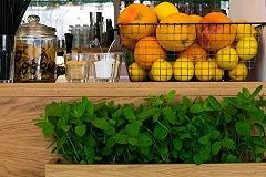 Вирусолог объяснил, могут ли фрукты и зелёный чай убить коронавирус в организме