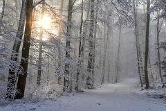 Предстоящая рабочая неделя в Свердловской области будет снежной