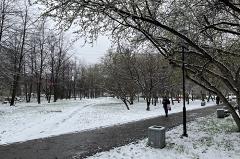 В Свердловской области ожидаются заморозки до -8 градусов